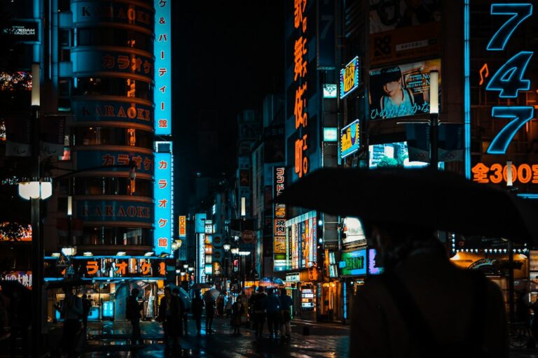 夜の東京の街並みを写したイメージ写真。大沢在昌本人の肖像写真ではなく、作品の舞台を象徴するもの